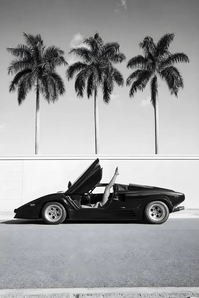 B&W sports car under palms — B&W Photo